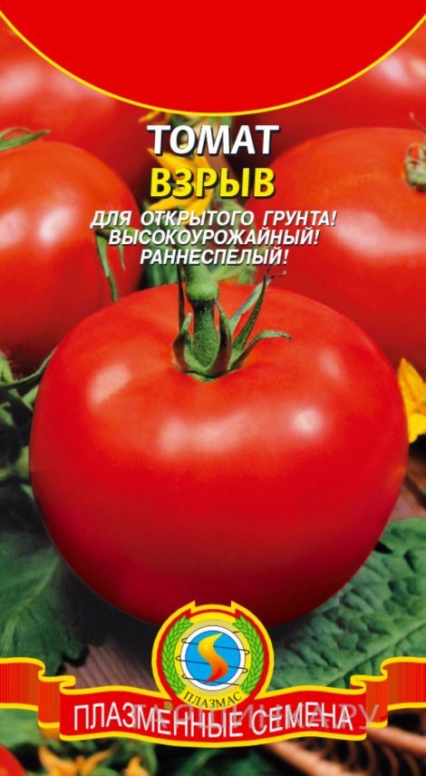 Семена Томат Взрыв, 25 шт, Плазменные семена