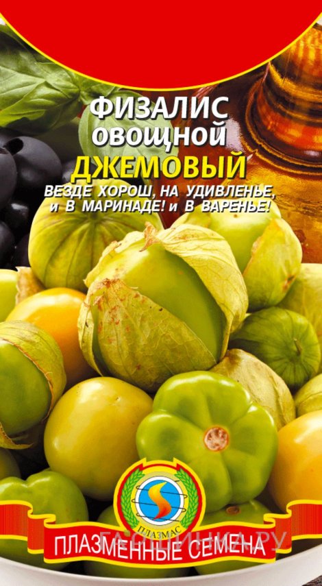 Семена Физалис овощной Джемовый, 0,1 гр, Плазменные семена