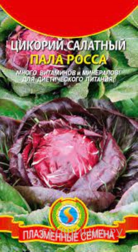 Семена Цикорий салатный Пала Росса, 0,2 гр, Плазменные семена