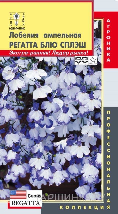 Семена Лобелия ампельная (серия Regatta) Регатта Блю Сплэш, 8 мультидрж в пробир, Плазменные семена