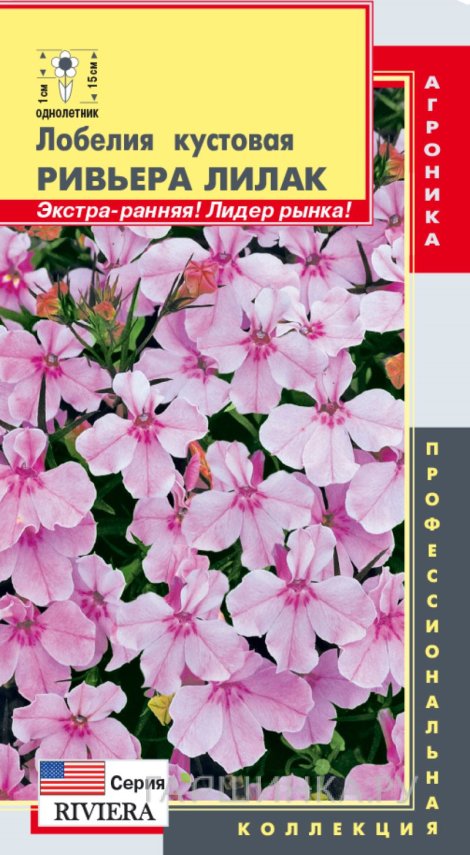 Семена Лобелия кустовая (серия Riviera) Ривьера Лилак, 8 мультидрж в пробир, Плазменные семена