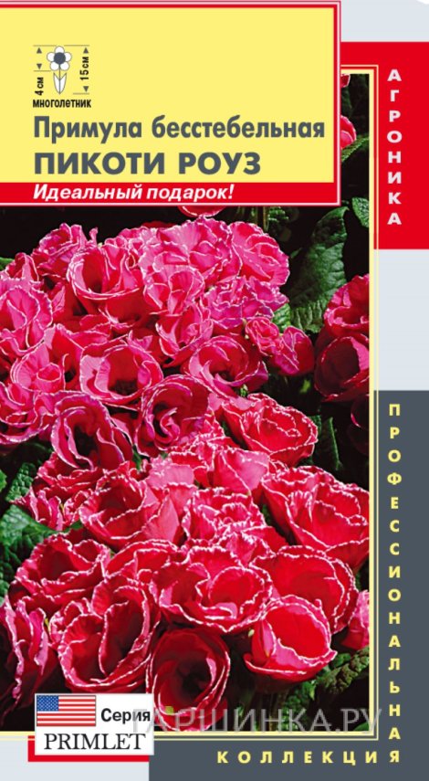 Семена Примула бесстебельная (серия Primlet) Пикоти Роуз, 5шт, Плазменные семена
