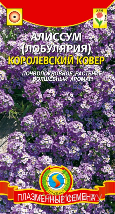 Семена Алиссум (Лобулярия) Королевский ковер, 0,1гр, Плазменные семена