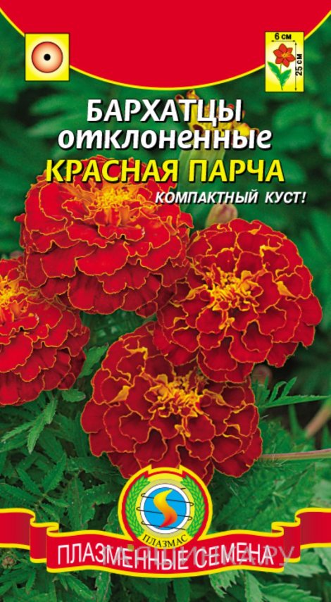 Семена Бархатцы отклоненные Красная парча, 45 шт, Плазменные семена