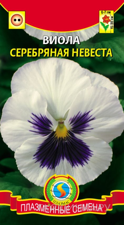 Семена Виола Серебряная невеста, 0,1 гр, Плазменные семена