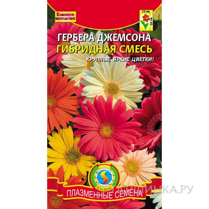 Семена Гербера Джемсона гибридная смесь, 10 шт, Плазменные семена