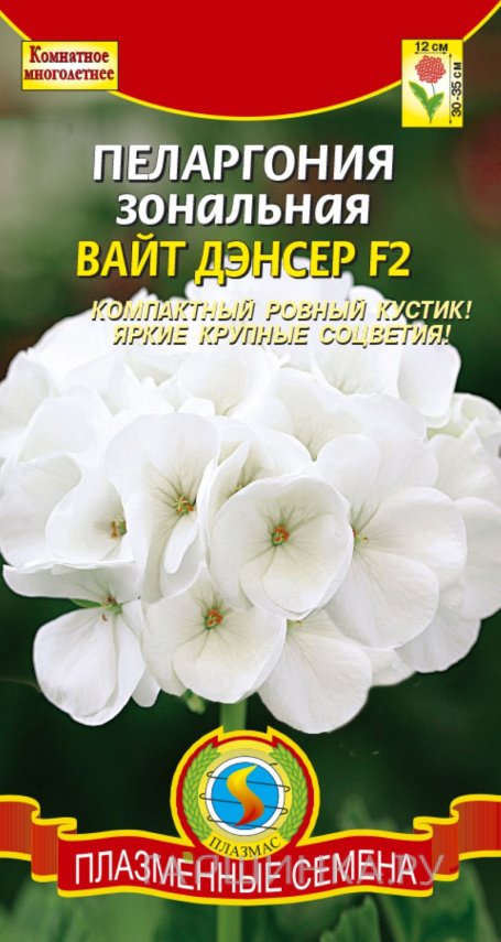 Семена Пеларгония зональная Вайт Дэнсер F2, 3 шт, Плазменные семена