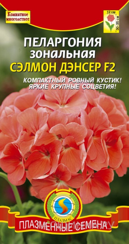 Семена Пеларгония зональная Сэлмон Дэнсер F2, 3 шт, Плазменные семена