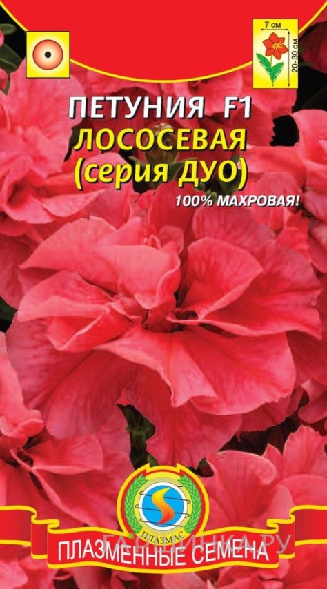 Семена Петуния F1 (серия Дуо) Лососевая, 10 драже в пробирке, Плазменные семена