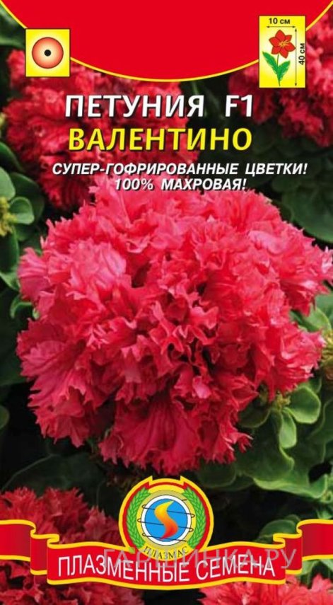 Семена Петуния F1 Валентино, 10драже в пробирке, Плазменные семена