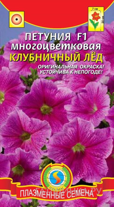 Семена Петуния F1 многоцветковая Клубничный лед, 10драже в пробирке, Плазменные семена