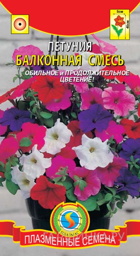 Семена Петуния Балконная смесь, 0,1 гр, Плазменные семена