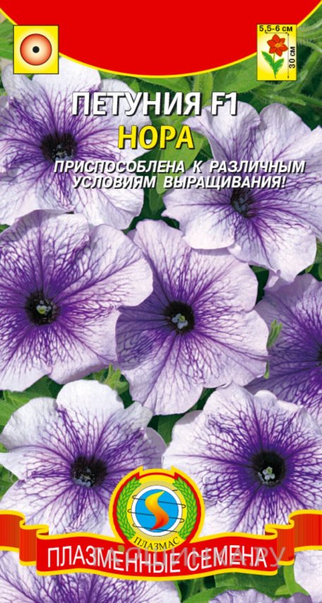 Семена Петуния многоцветковая Нора F1, 10 шт, Плазменные семена