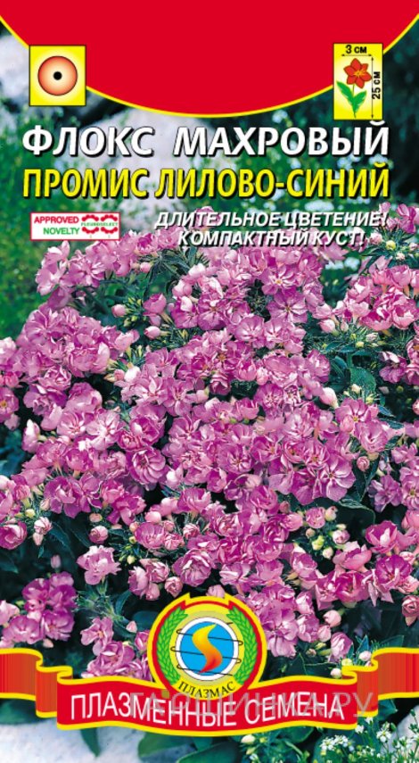 Семена Флокс махровый Промис Лилово-синий, 5 шт, Плазменные семена
