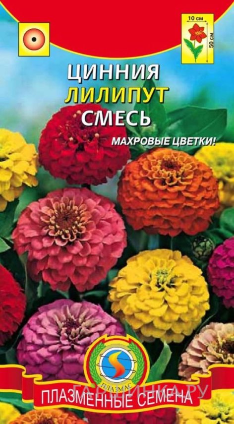 Семена Цинния Лилипут смесь, 0,3 гр, Плазменные семена