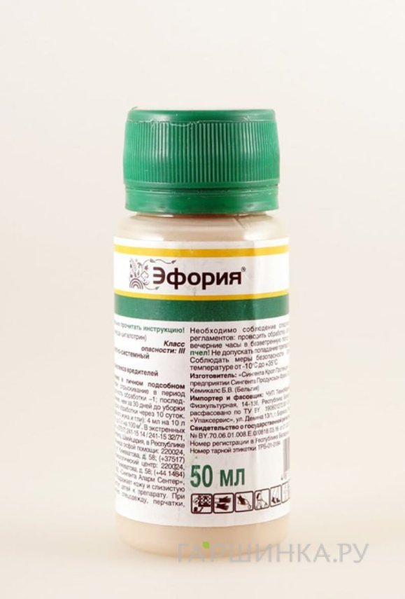 Эфория
