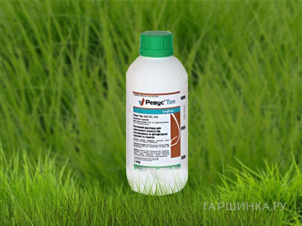 Ревус Топ