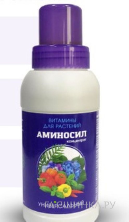 Аминосил для огурцов
