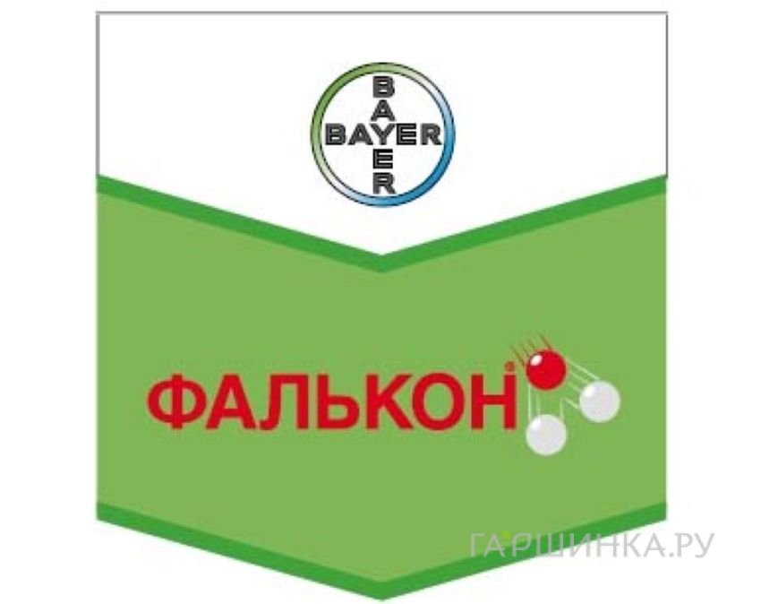 Фалькон