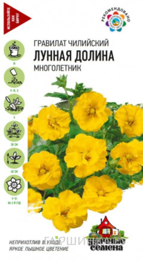 Семена Гравилат чилийский Лунная долина 0,1г.