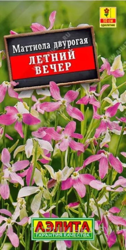 Семена Маттиола двурогая Летний вечер, ц/п, 0,5г