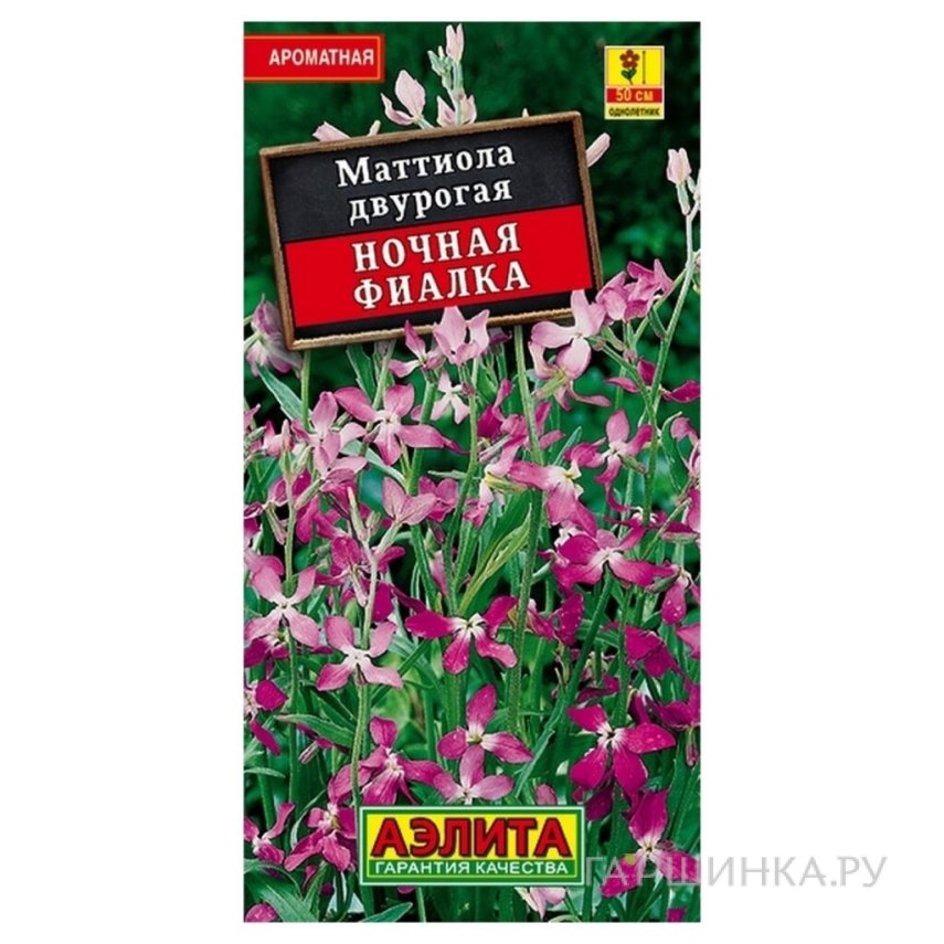 Семена Маттиола Ночная фиалка, ц/п R