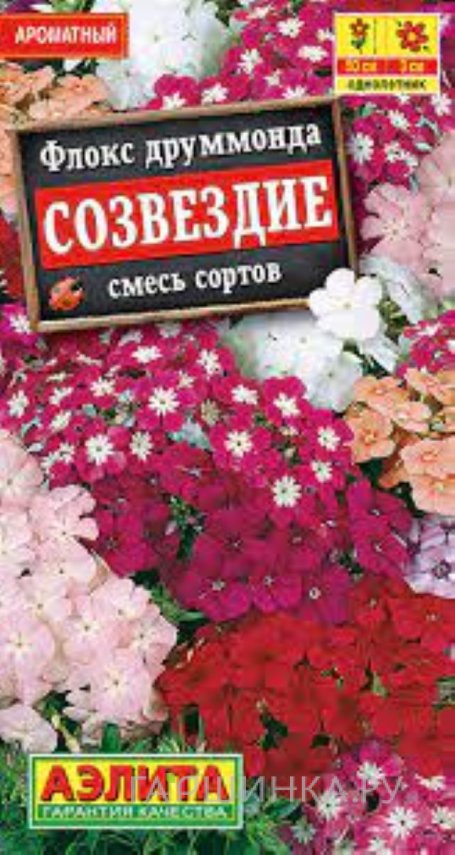 Семена Флокс друммонда Созвездие, смесь, 0,3 г, ц/п