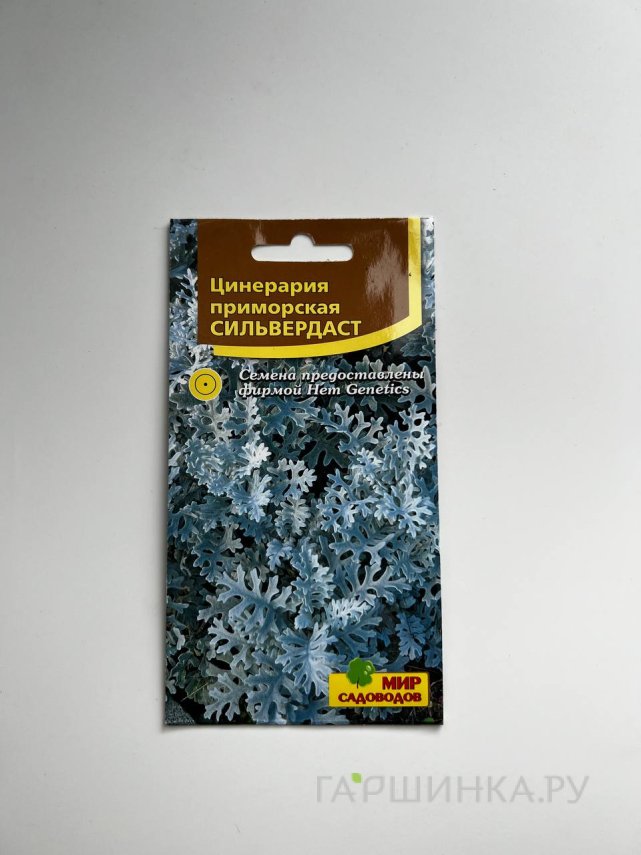 Семена Цинерария приморская Сильвердаст, 75-100 шт, ц/п