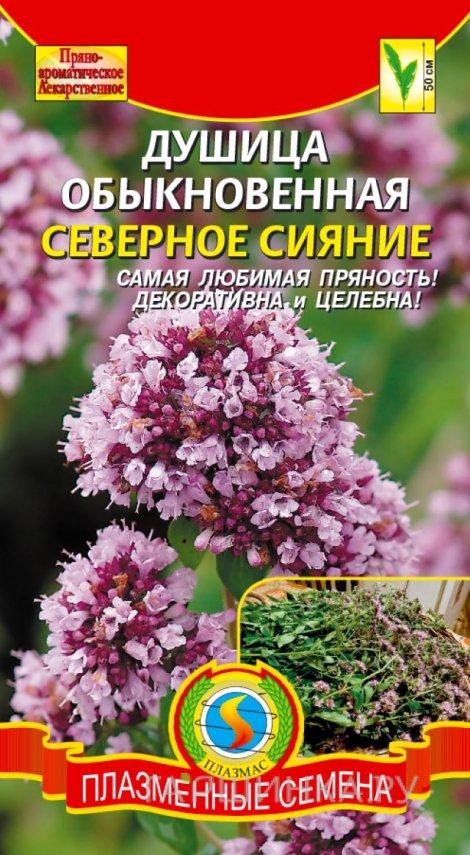 Семена Душица Северное сияние, 0,1г, Плазменные семена