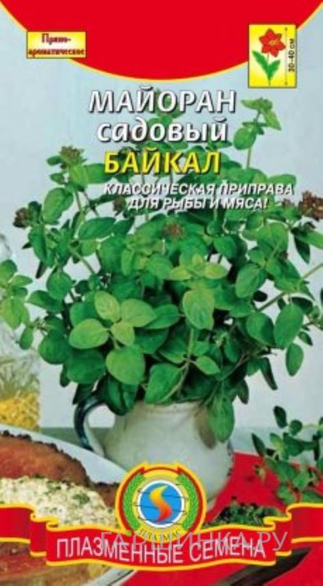 Семена Майоран садовый Байкал 0,1г, Плазменные семена