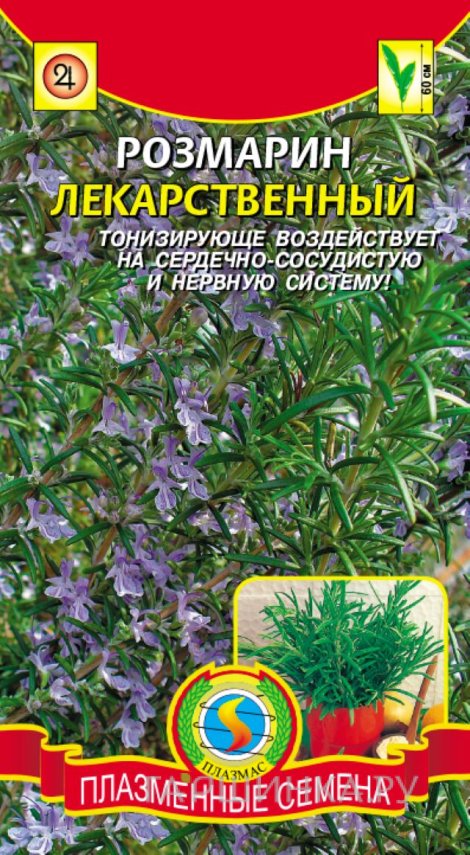 Семена Розмарин лекарственный 20 шт, Плазменные семена