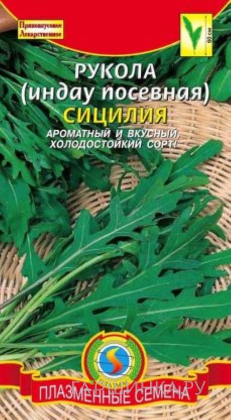 Семена Рукола (Индау посевная) Сицилия, 1 гр, Плазменные семена