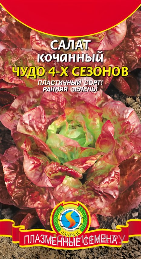 Семена Салат Чудо 4-х сезонов 0,5 г, Плазменные семена