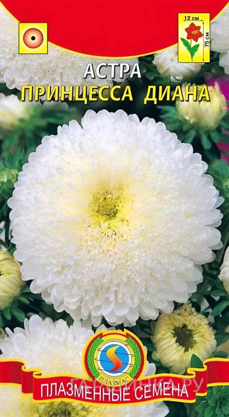 Семена Астра Принцесса Диана 0,3г, Плазменные семена