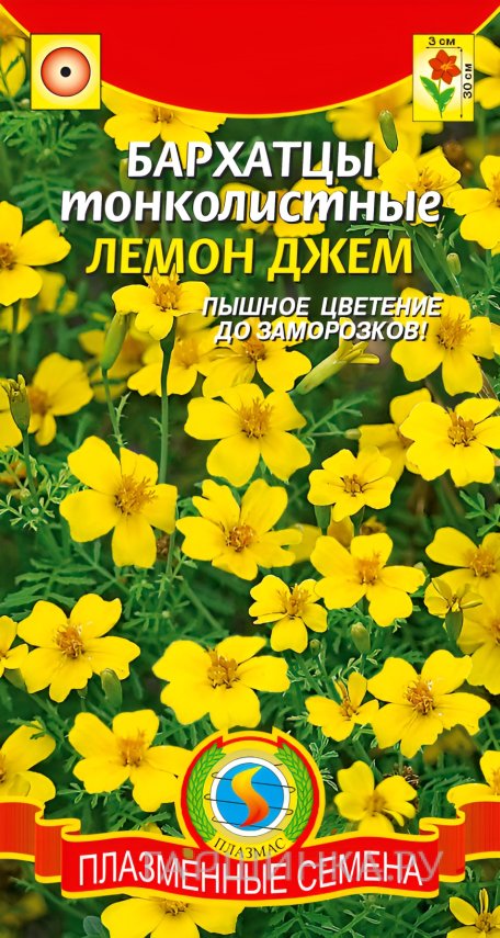 Семена Бархатцы тонколистные Лемон джем 50шт, Плазменные семена