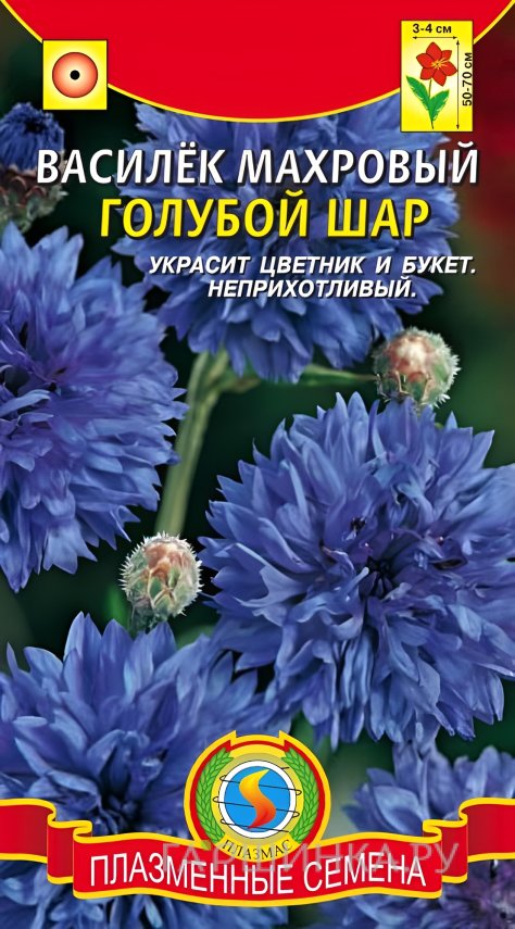 Семена Василёк Голубой шар 0,5г, Плазменные семена