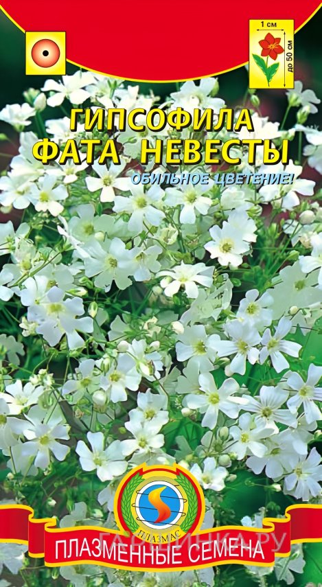 Семена Гипсофила Фата невесты , 0,05г, Плазменные семена