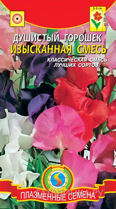 Семена Горошек душистый Изысканная смесь 12шт, Плазменные семена
