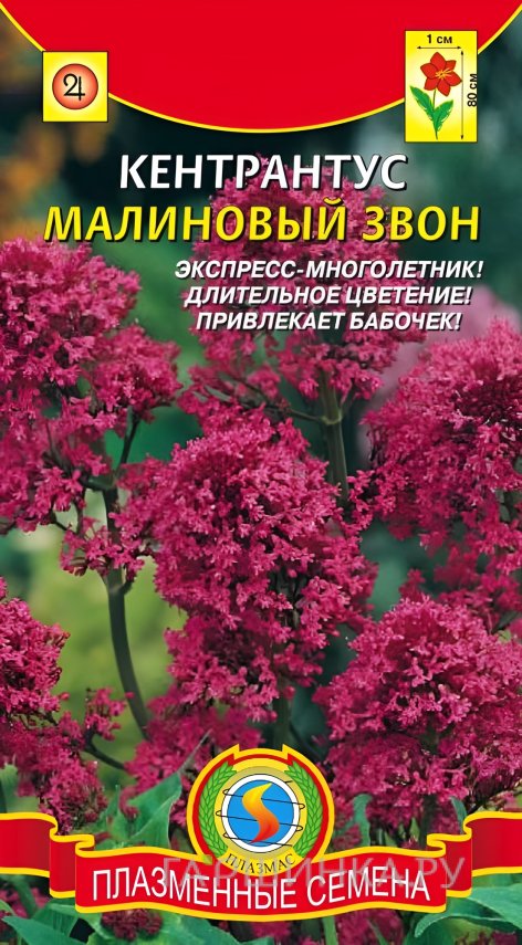 Семена Кентрантус Малиновый звон 0,05г, Плазменные семена