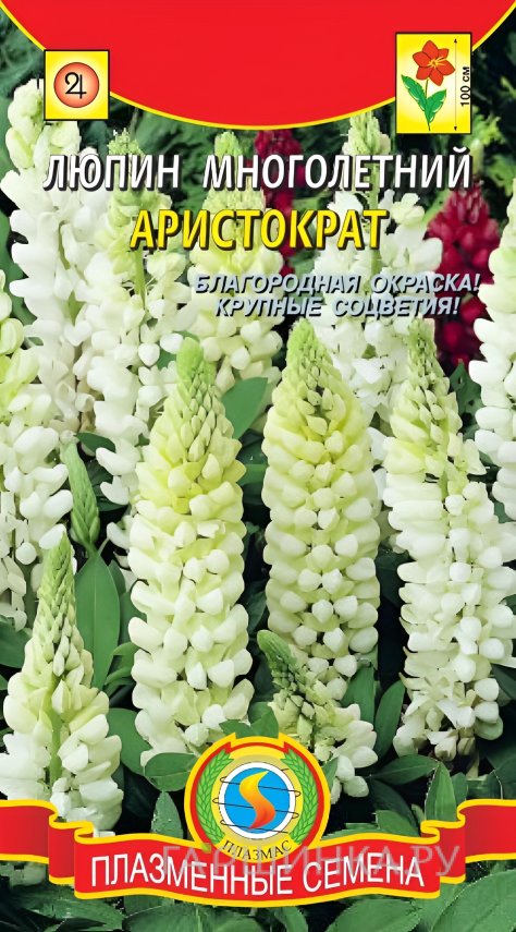 Семена Люпин многолетний Аристократ 0,45г, Плазменные семена