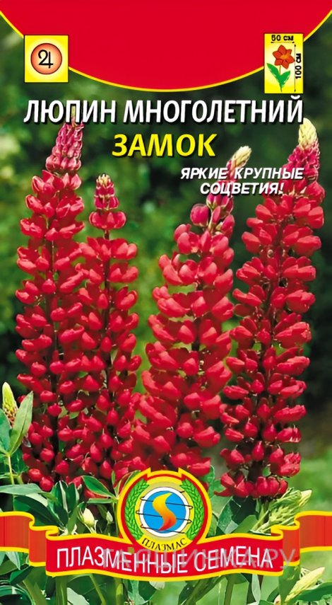 Семена Люпин многолетний Замок  0,3г, Плазменные семена