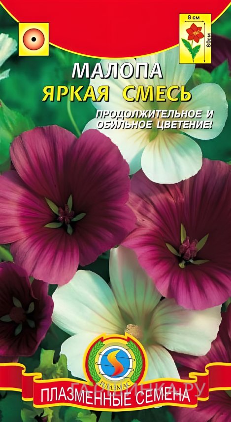 Семена Малопа яркая смесь 0,3г, Плазменные семена
