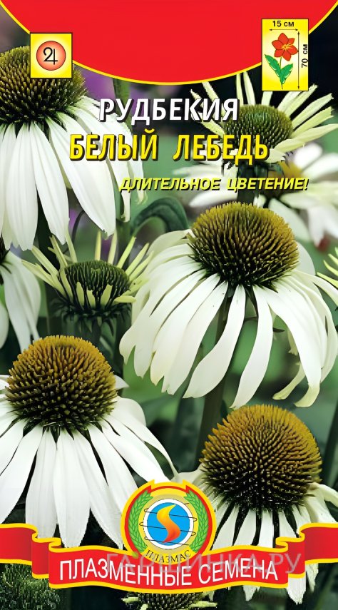 Семена Рудбекия Белый лебедь 0,05г, Плазменные семена