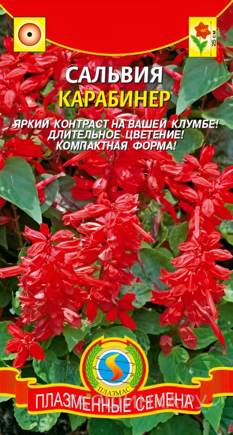 Семена Сальвия Карабинер 0,08, Плазменные семена