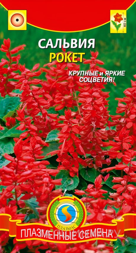 Семена Сальвия Рокет 0,08, Плазменные семена