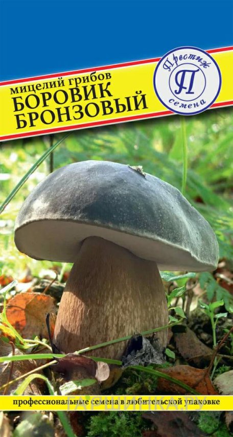 Мицелий грибов Боровик бронзовый , 60 мл, Престиж