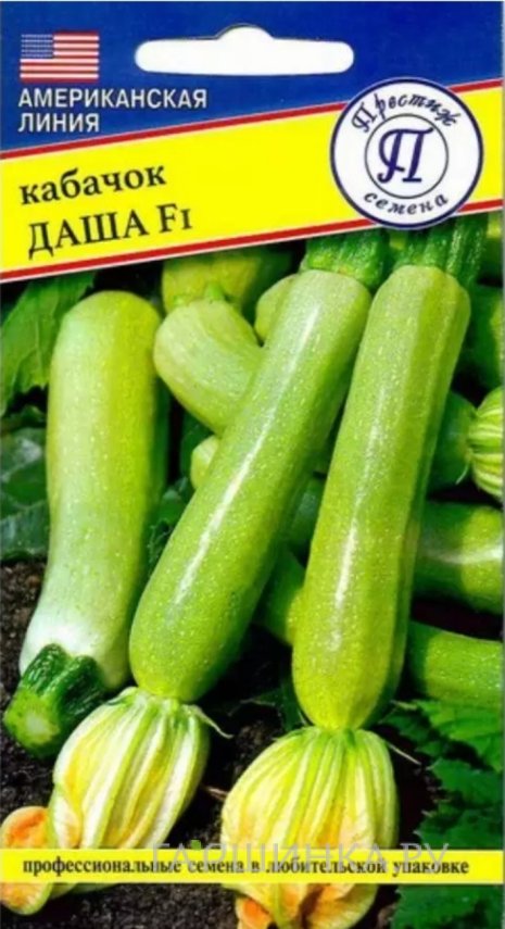 Семена кабачка Даша F1, 5 шт, Престиж