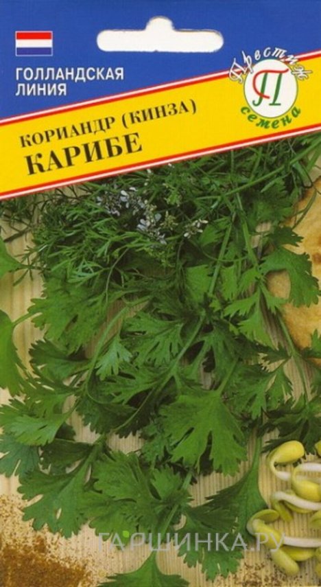 Семена кориандра овощного Карибе (РС-1), 1 гр, Престиж