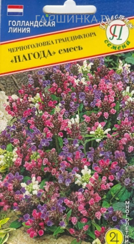 Семена черноголовки крупноцветковой (РС-1), 0,1 гр, Престиж