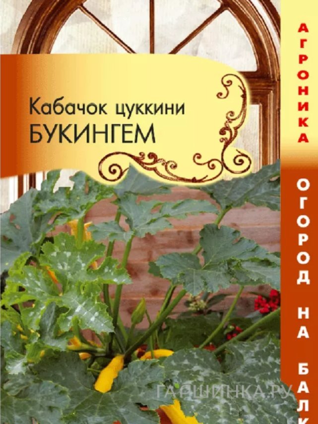 Семена  Кабачок Букингем F1  (Огород на балконе!) 3 шт Плазменные семена